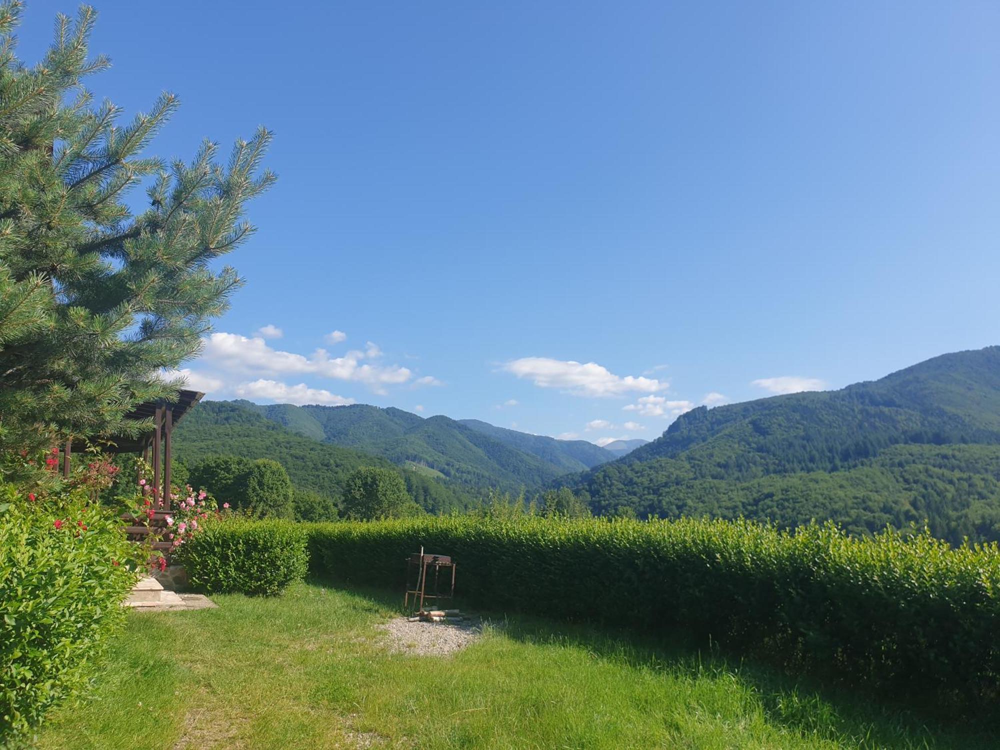 Valea Doamnei Hotel Nucsoara  Luaran gambar